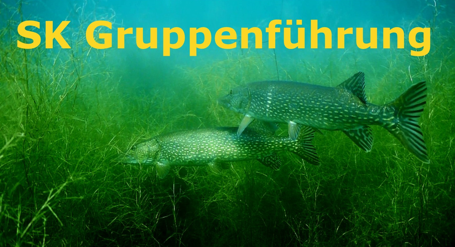 SK Gruppenführung und SK Orientierung